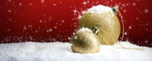 Christmas dining and parties in South Rauceby | Sleaford | Lincolnshire